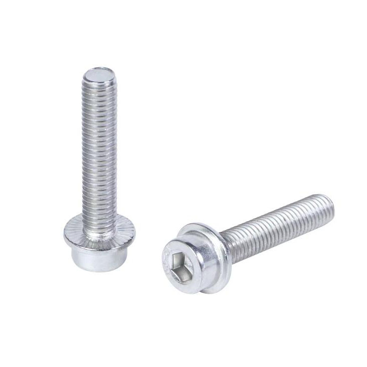 DIN251 六角穴付き鋸歯状フランジねじ付き